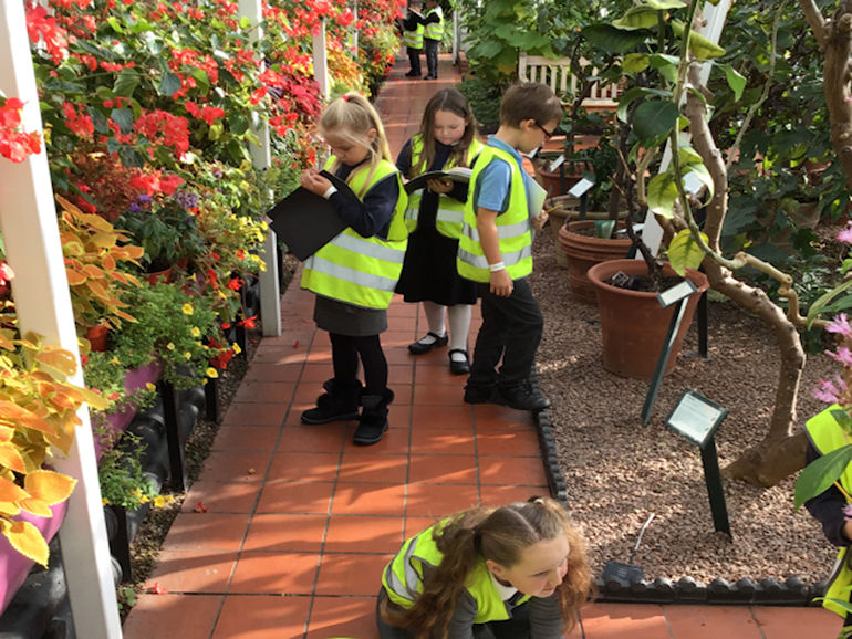 Year 3 at the Botanical Gardens