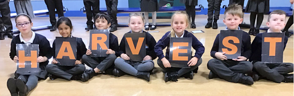 Parliamentaryreview 02 Year 2 Harvest Assembly