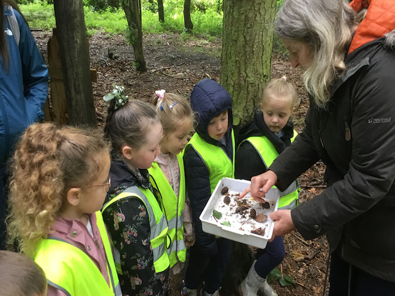 Reception’s Day at Cannock Chase